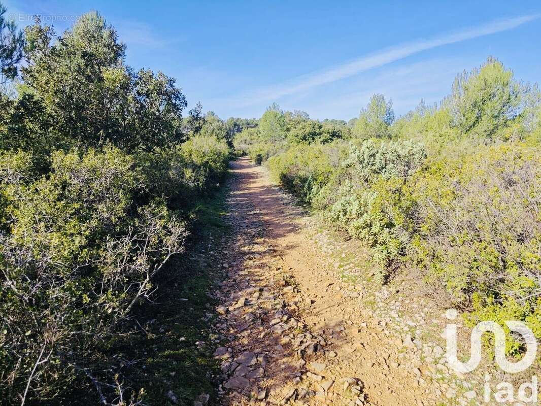 Photo 4 - Terrain à LE CASTELLET