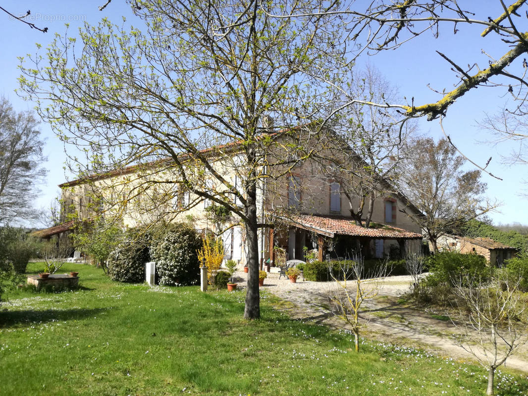 Maison à PUYLAURENS