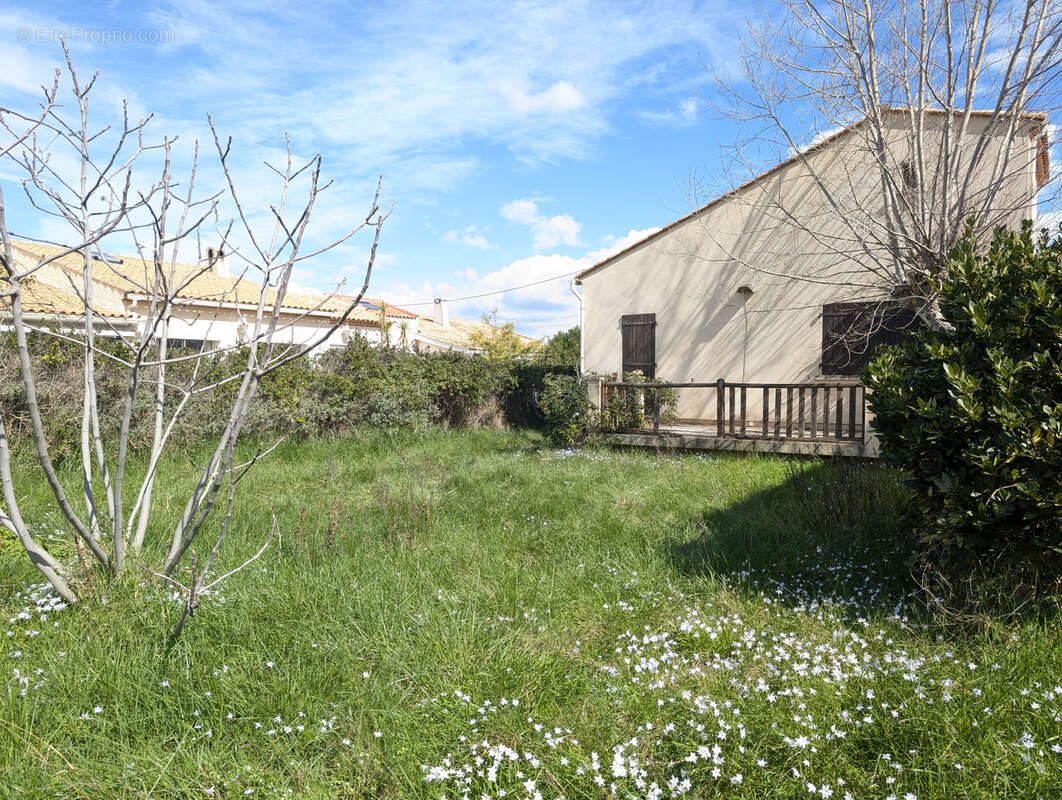 Maison à FRONTIGNAN