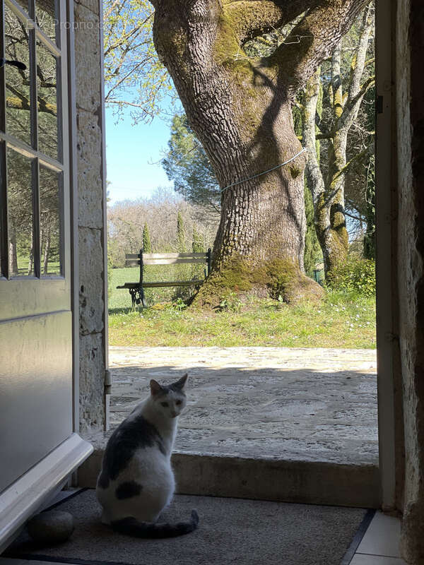 Maison à LECTOURE