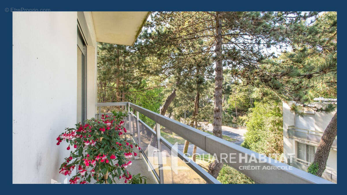 Appartement à CUCQ