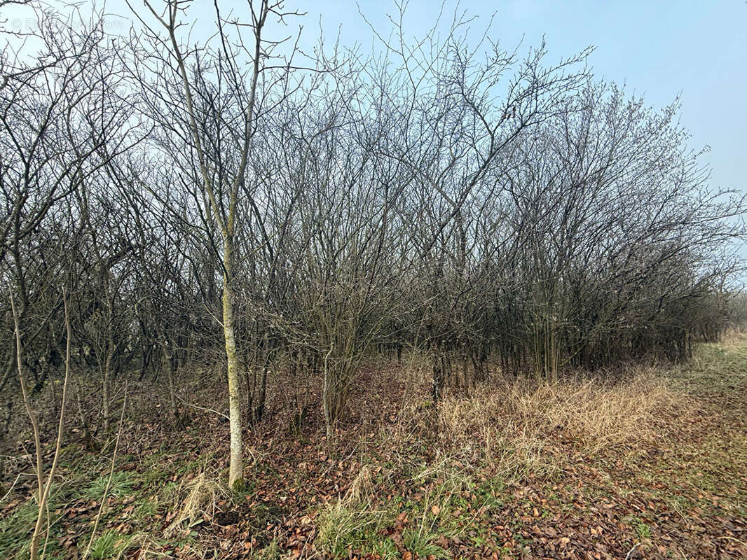 Terrain à EINVAUX
