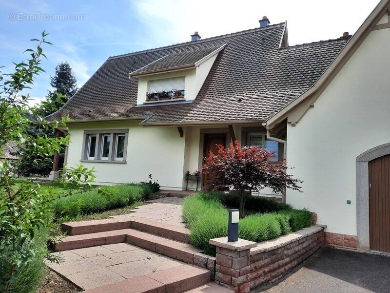 Maison à WESTHALTEN
