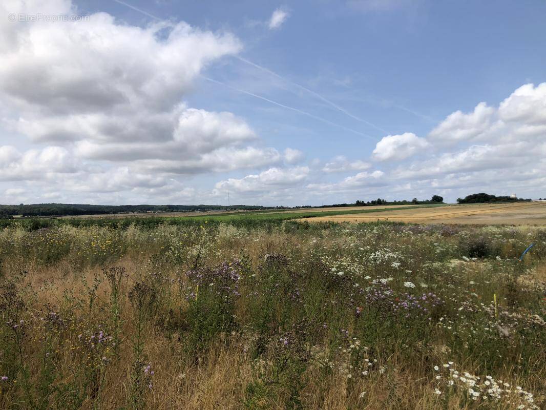 Terrain à LIEVIN
