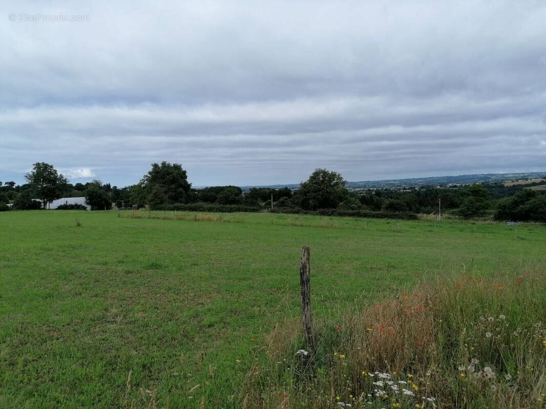 Terrain à COMPS-LA-GRAND-VILLE
