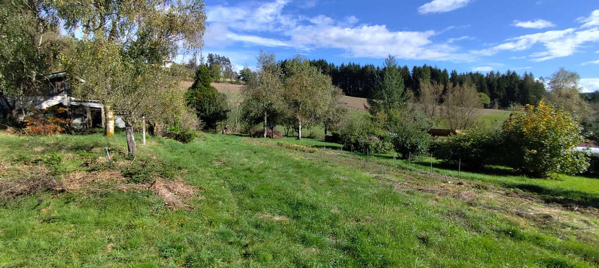 Terrain à LA SEAUVE-SUR-SEMENE