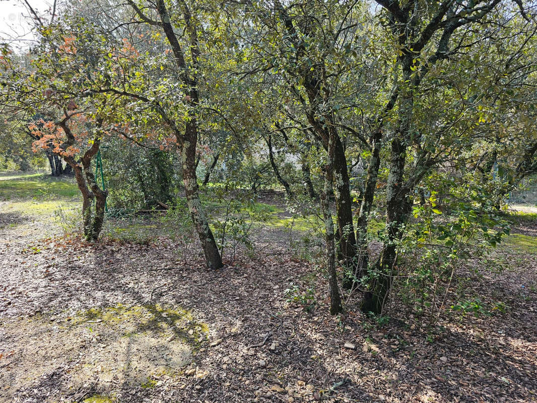 Terrain à CABRIERES-D&#039;AVIGNON