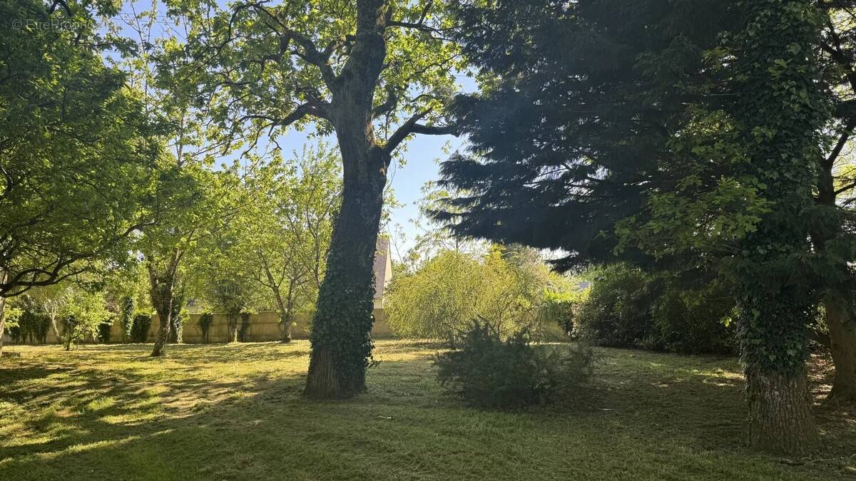 Terrain à VANNES