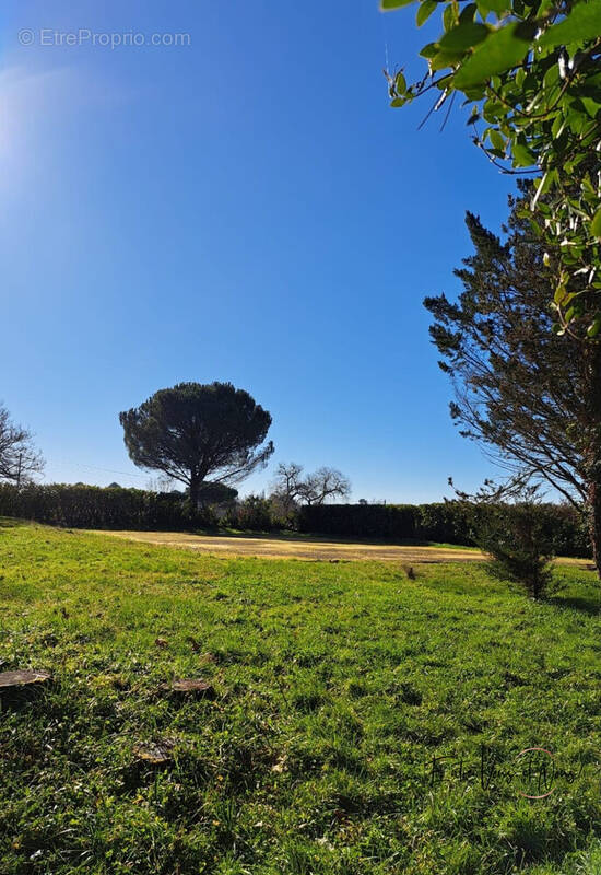 Terrain à BAZAS