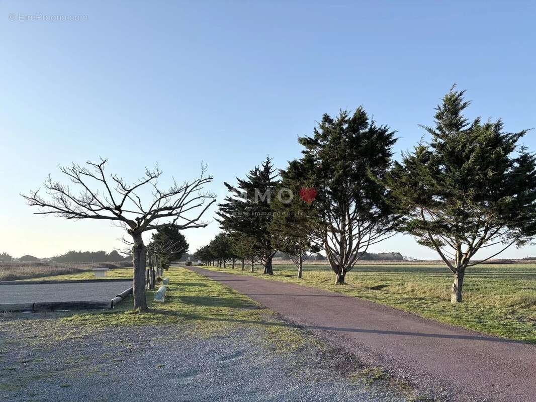 Maison à SAINT-DENIS-D&#039;OLERON