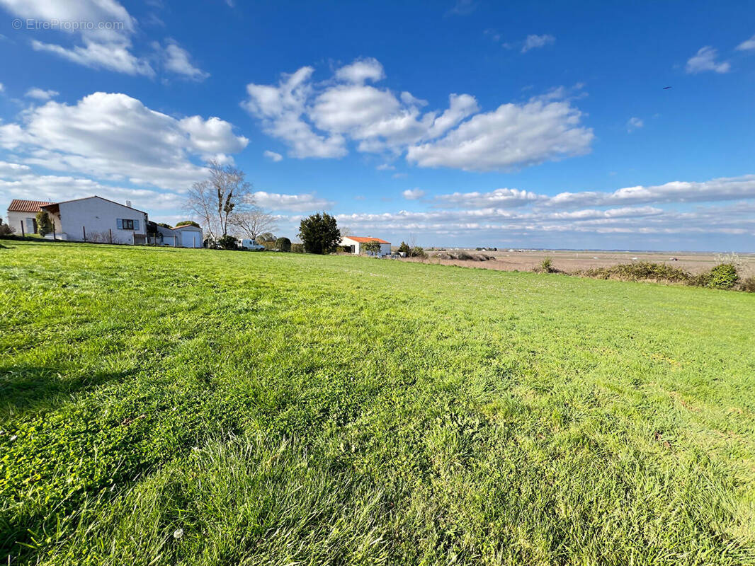 Terrain à ARVERT