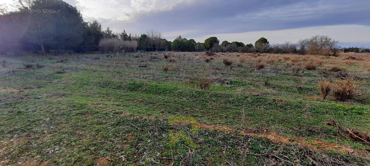Terrain à PORTIRAGNES