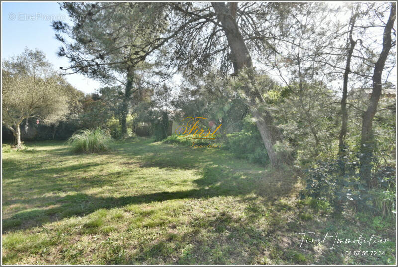 Terrain à SUSSARGUES