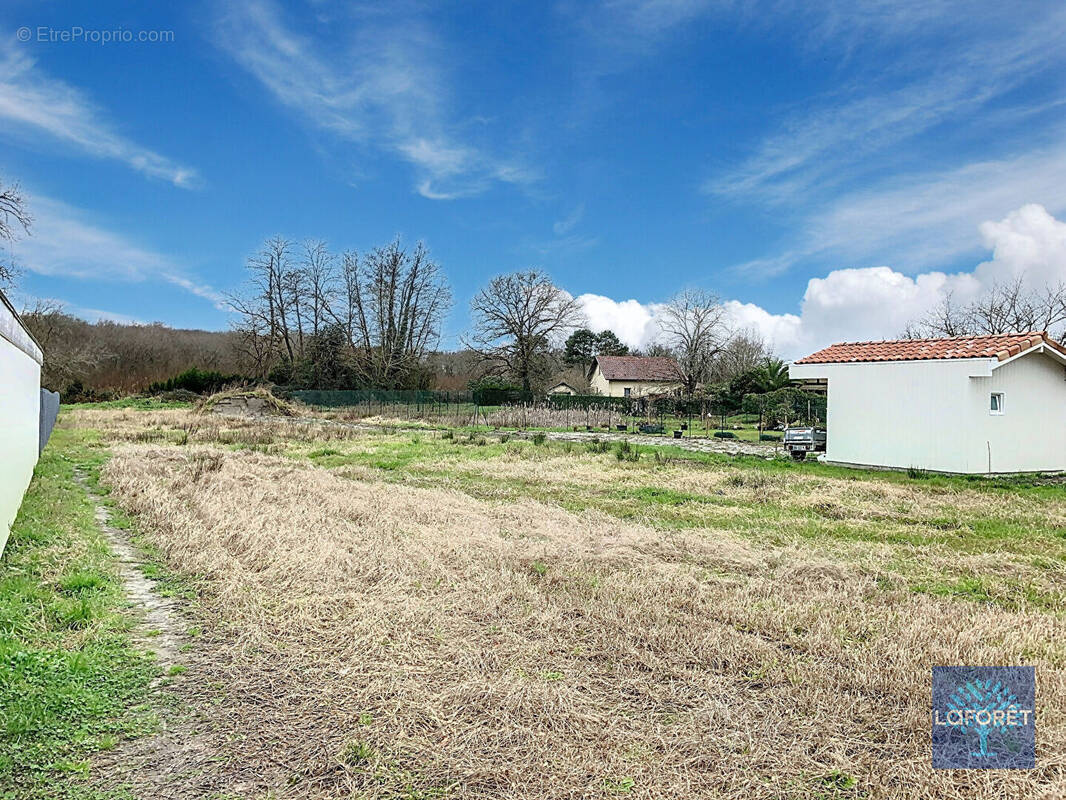 Terrain à DAX