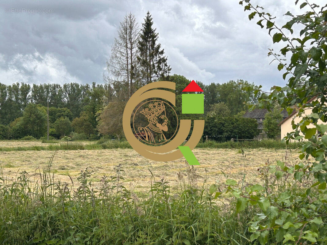 Terrain à FROHEN-LE-GRAND