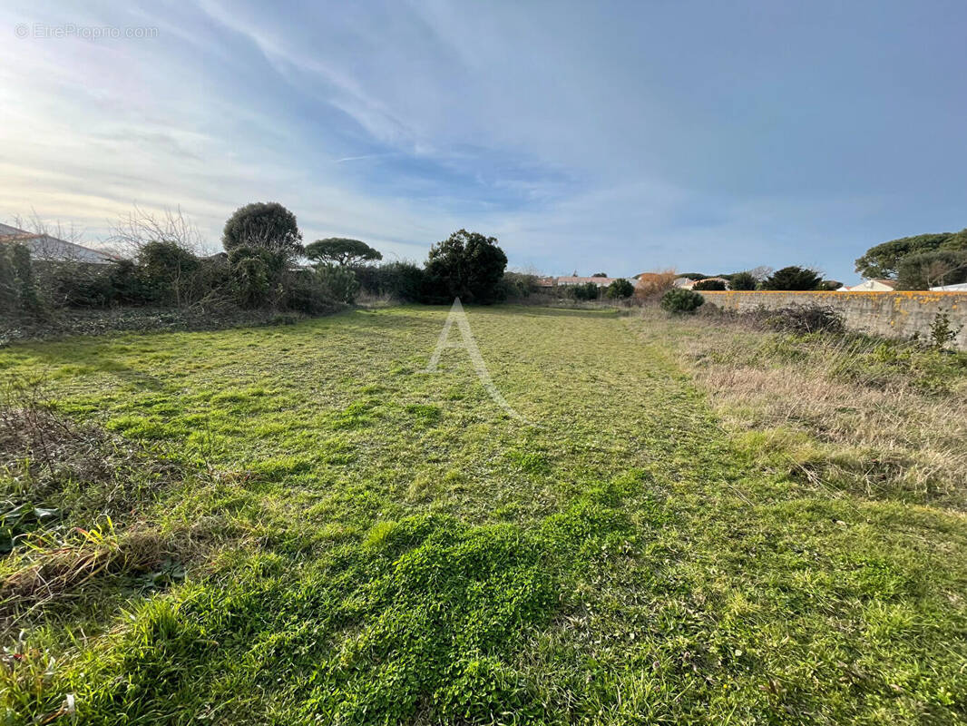 Terrain à SAINT-PIERRE-D&#039;OLERON
