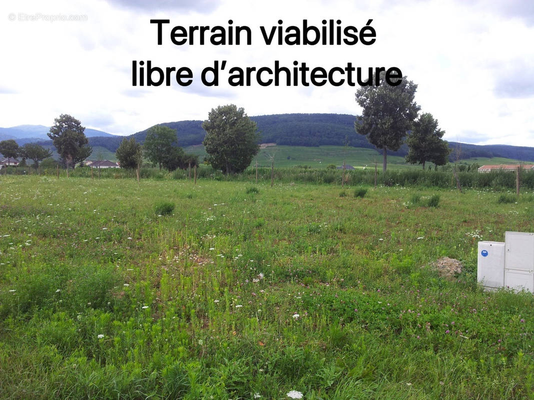Terrain à ISSENHEIM
