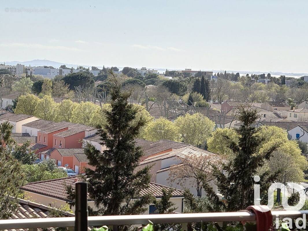 Photo 1 - Appartement à BALARUC-LES-BAINS
