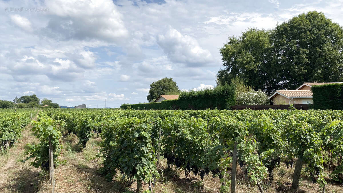 Terrain à SAINT-SULPICE-DE-FALEYRENS