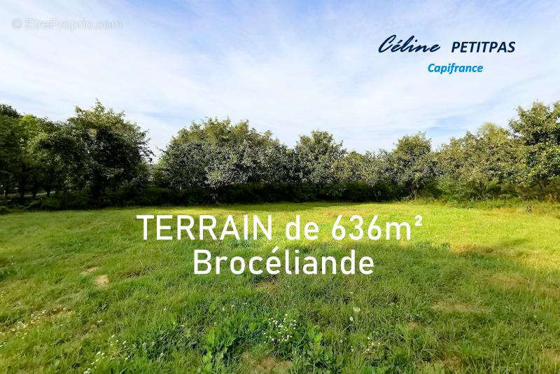 Terrain à IFFENDIC