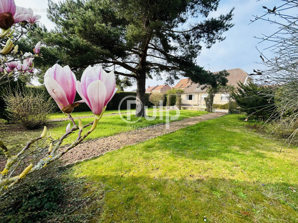 Maison à COURCELLES-LES-LENS