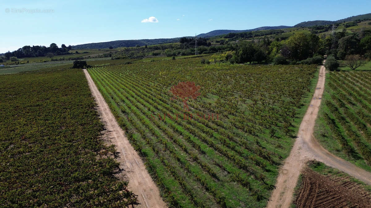Terrain à CLERMONT-L&#039;HERAULT