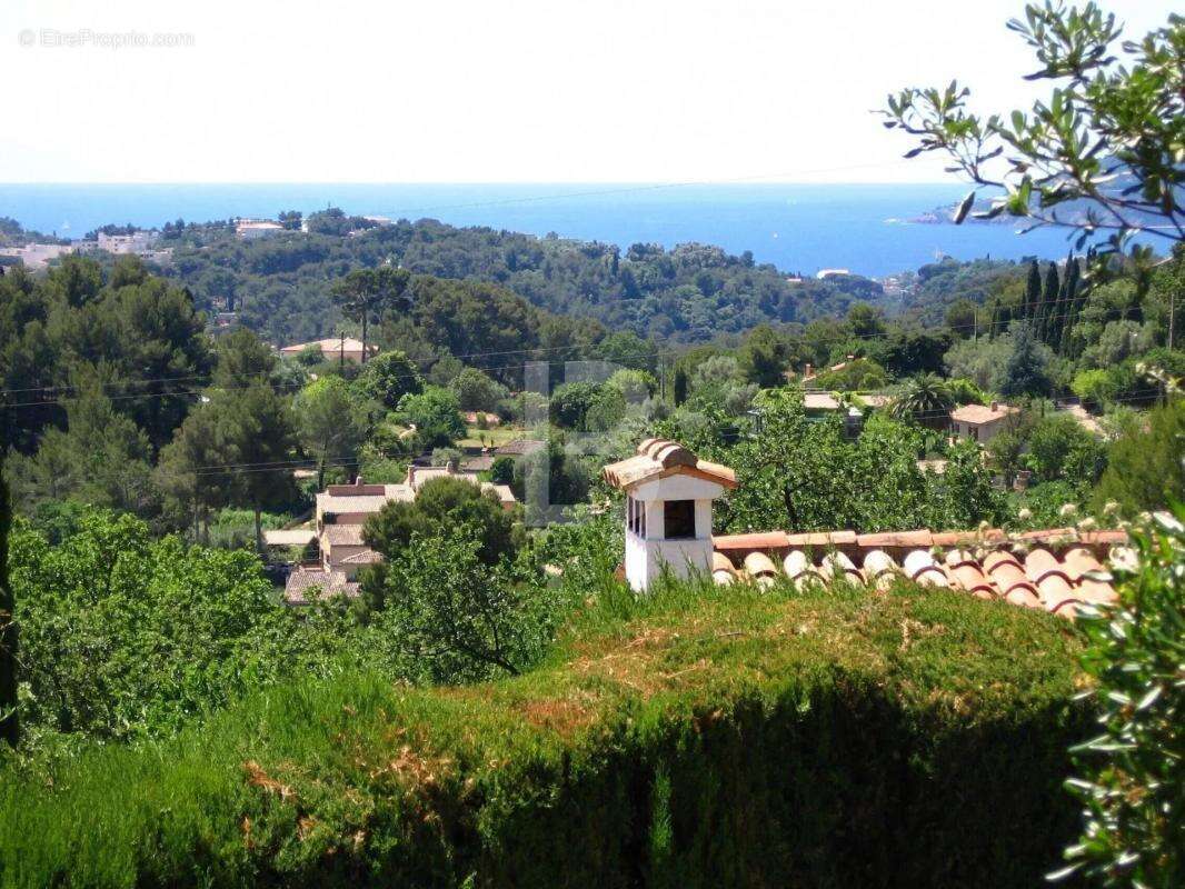 Maison à MOUGINS