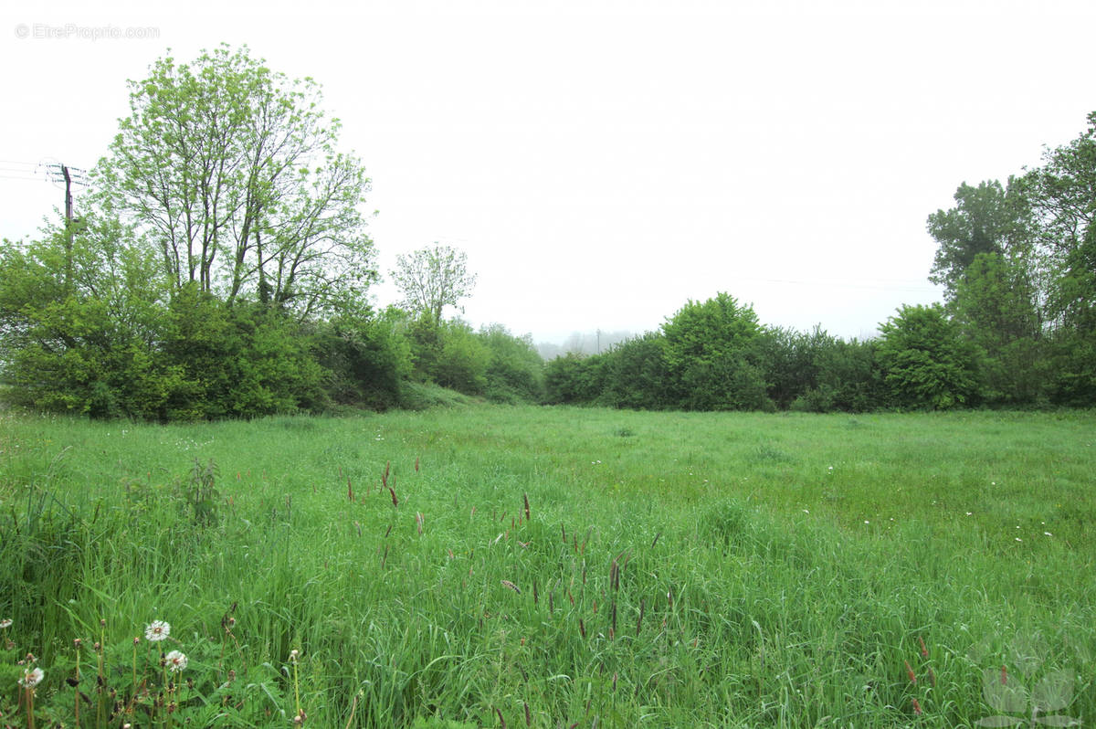 Terrain à CAUDRY