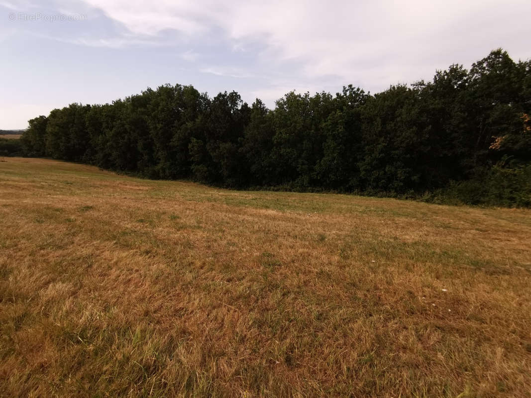 Terrain à AUCH