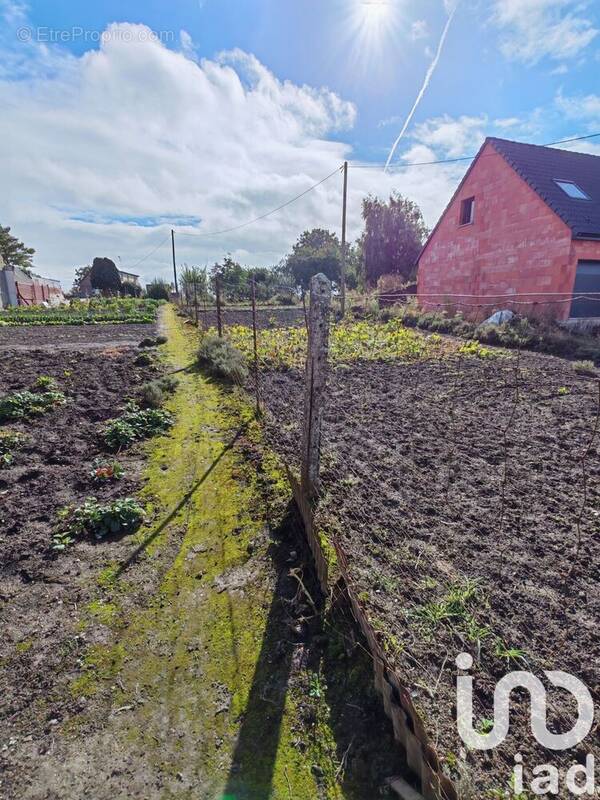 Photo 1 - Terrain à GRAINCOURT-LES-HAVRINCOURT