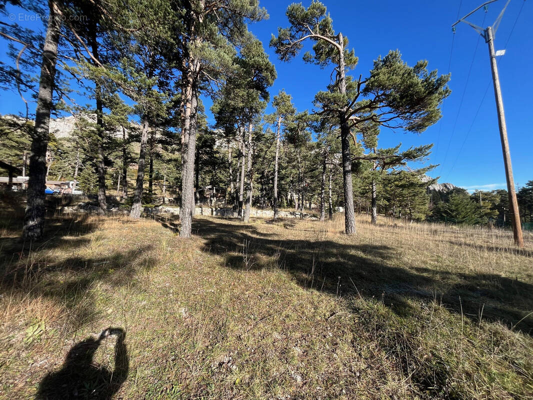 Terrain à CAILLE