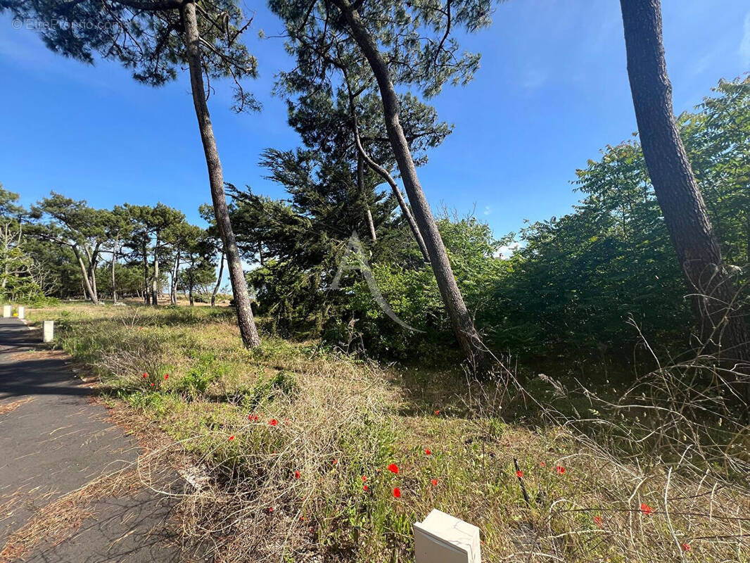 Terrain à LA TRANCHE-SUR-MER