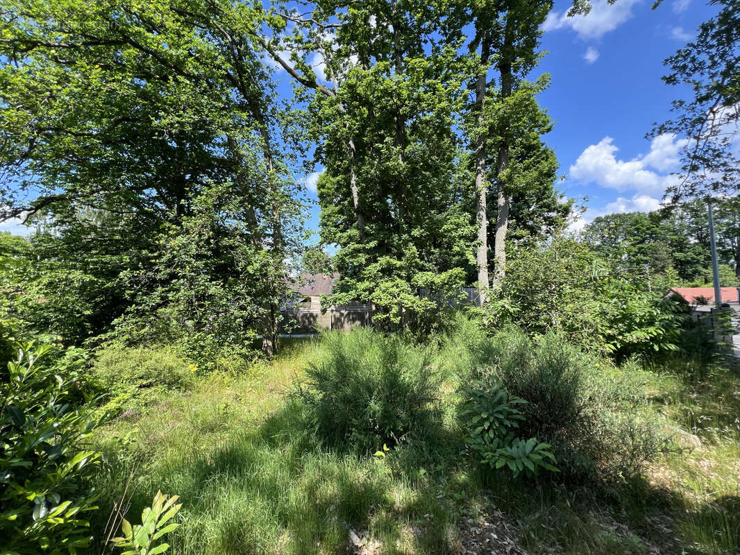 Terrain à LA QUEUE-LES-YVELINES