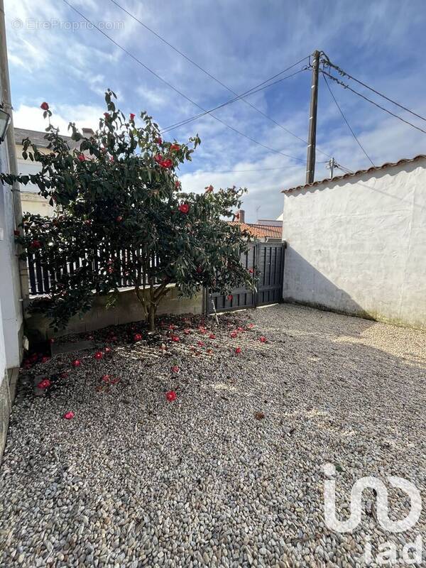Photo 1 - Maison à MACHECOUL
