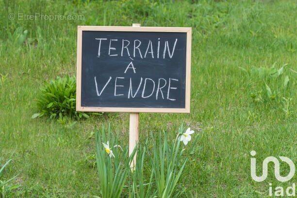 Photo 1 - Terrain à BESNE