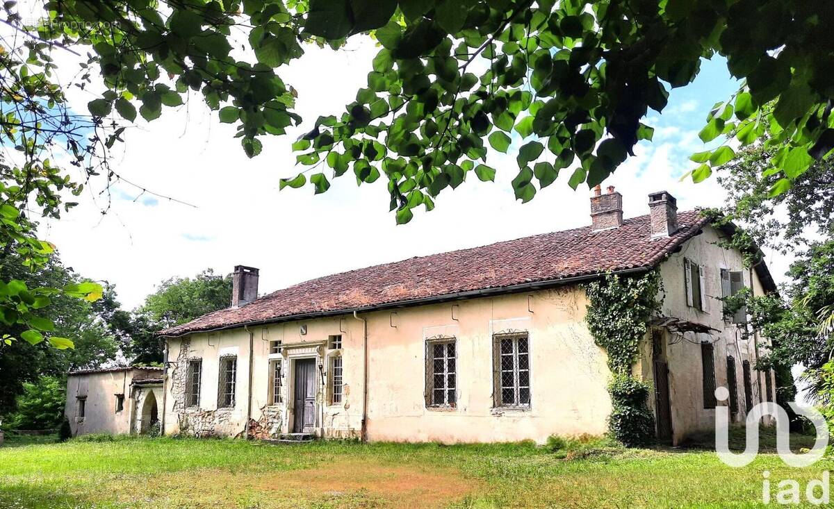 Photo 1 - Maison à MONTFORT-EN-CHALOSSE