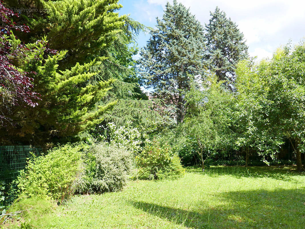 Terrain à MAUREPAS