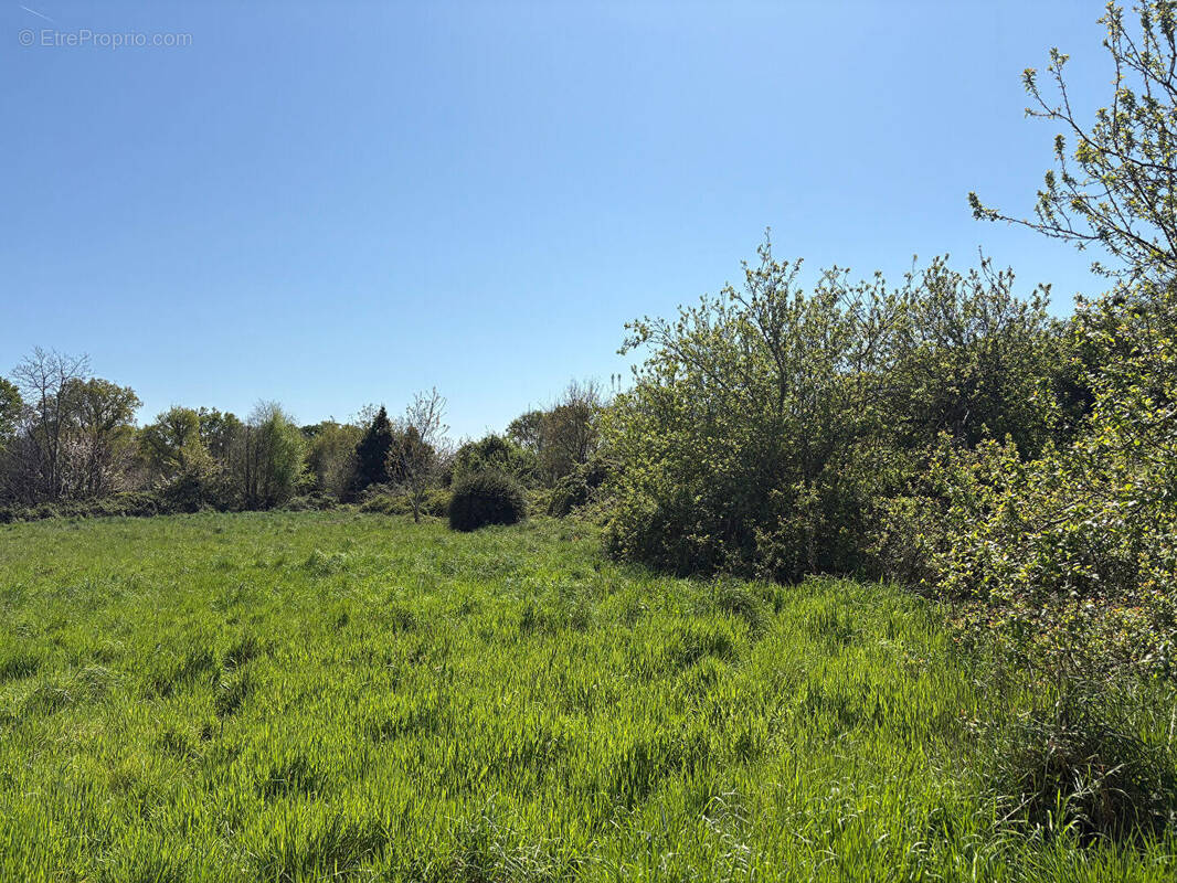 Terrain à BENODET