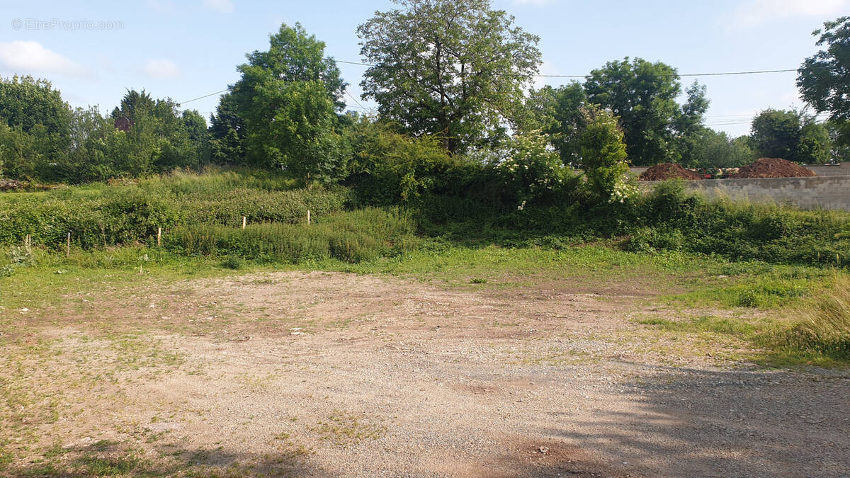 Terrain à DRUELLE