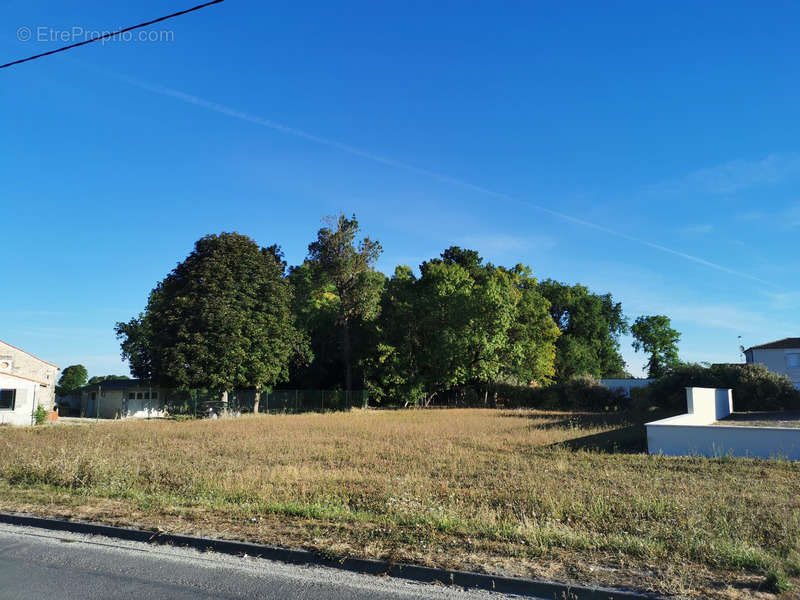 Terrain à SEGONZAC