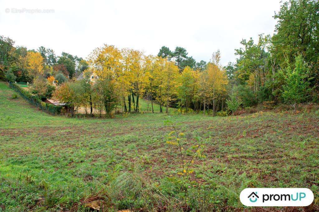 Terrain à SARLAT-LA-CANEDA