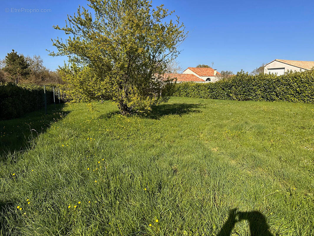 Terrain à NIORT