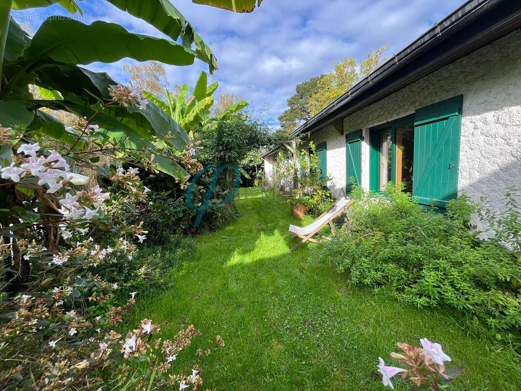 Maison à SUCE-SUR-ERDRE