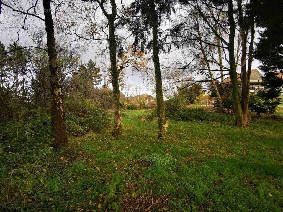 Terrain à WERVICQ-SUD