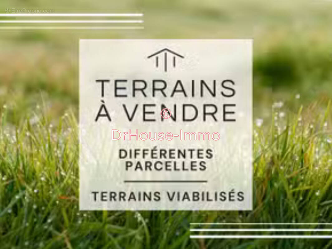Terrain à NUITS-SAINT-GEORGES