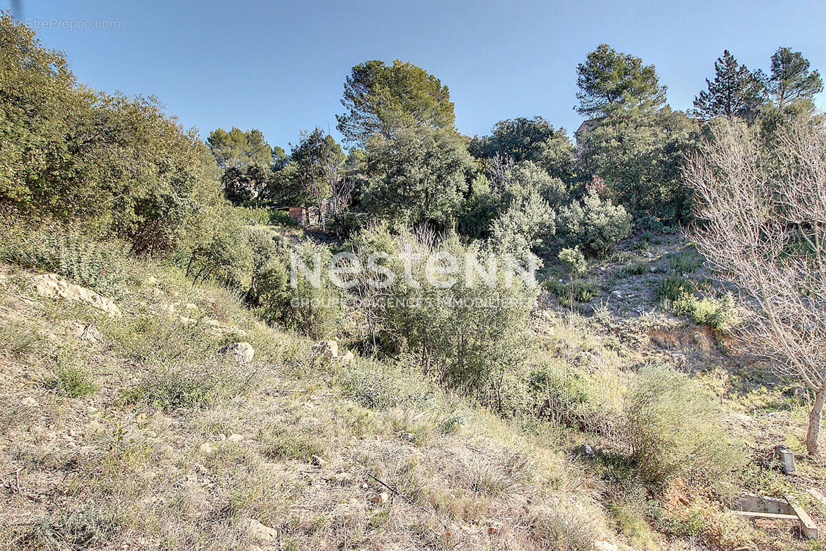 Terrain à TARADEAU