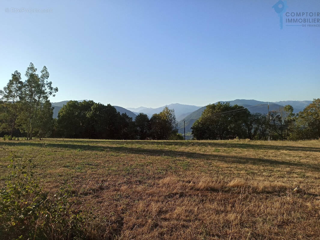 Terrain à LABROQUERE