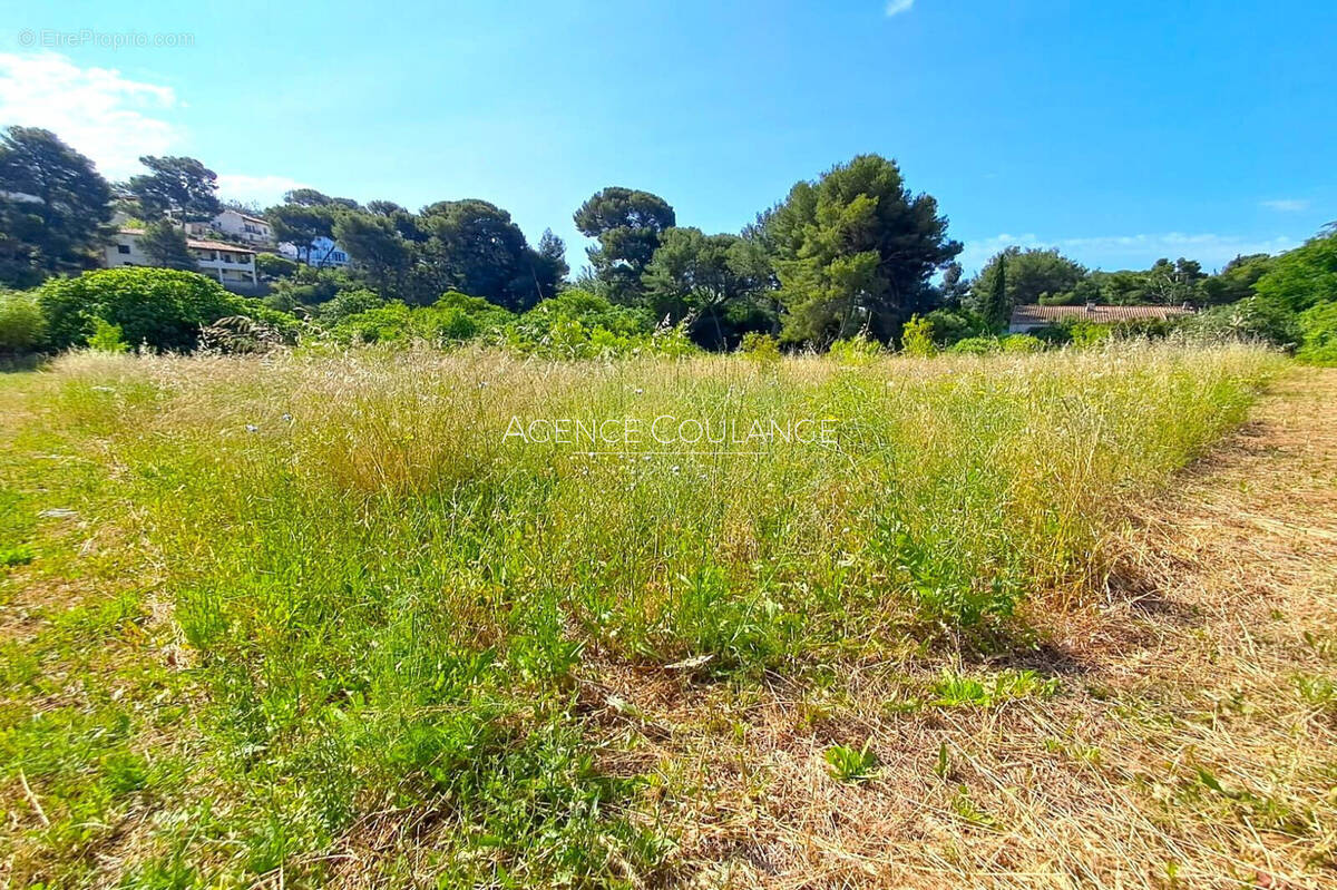 Terrain à LA CIOTAT