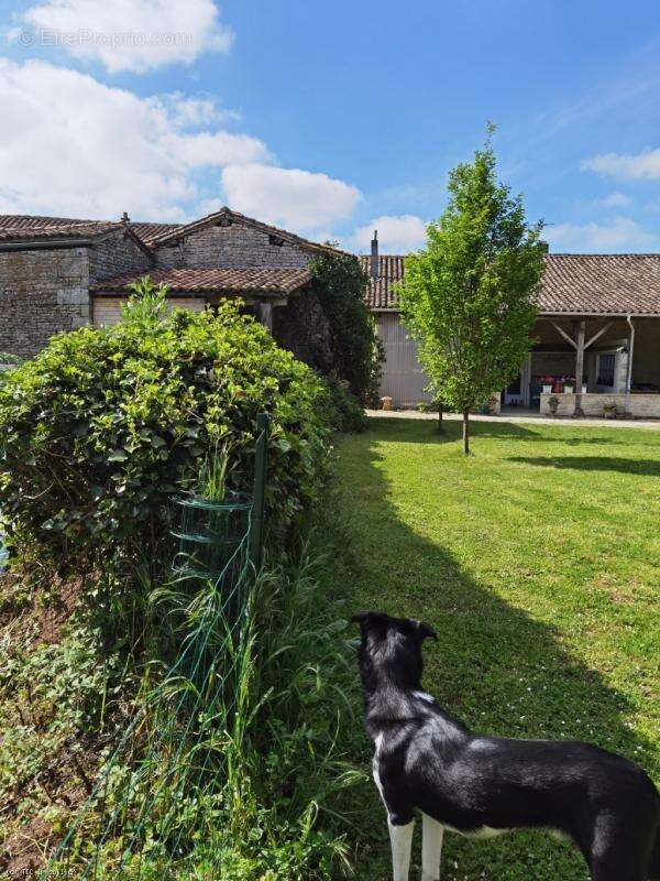 Maison à CIVRAY