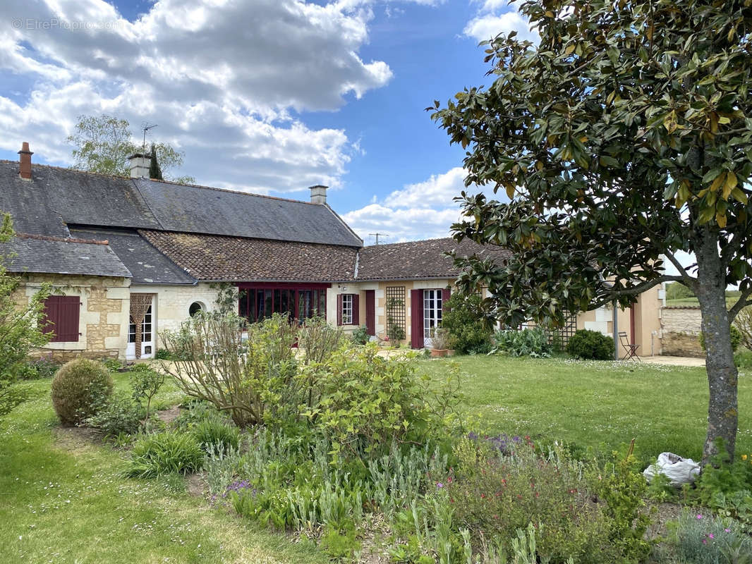 Maison à FONTEVRAUD-L&#039;ABBAYE
